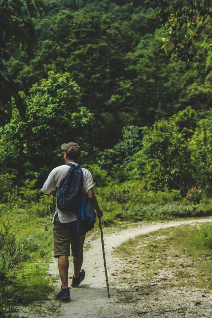 pexels-photo-1392099-1392099 Hiker with backpack explores lush forest path in Nepal. Perfect for travel and adventure themes.